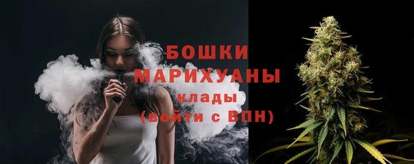 Альфа ПВП Дмитриев