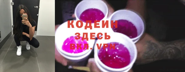 твердый Дмитров
