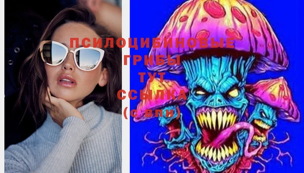 твердый Дмитров
