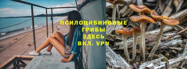 амф Дмитровск