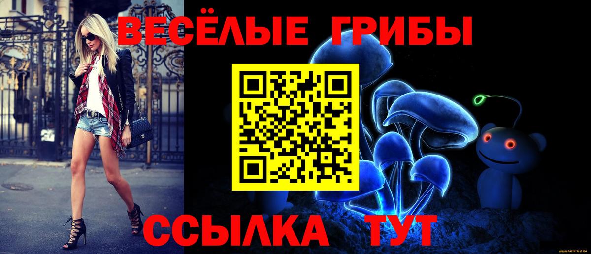 Галлюциногенные грибы MAGIC MUSHROOMS  Вход с VPN  Звенигород  Псилоцибиновые грибы Magic Shrooms 